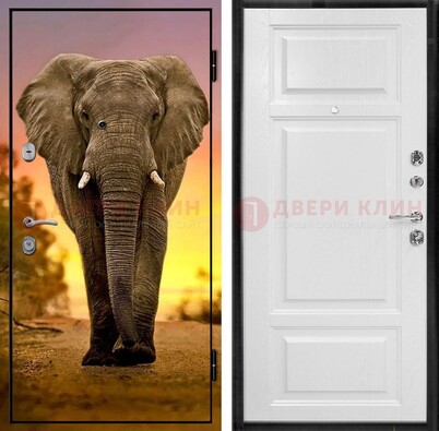 Металлическая дверь с фотопечатью слона ДФ-30 в Туле