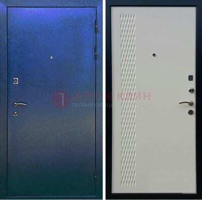Синяя железная дверь с порошковым напылением ДП-49 в Туле